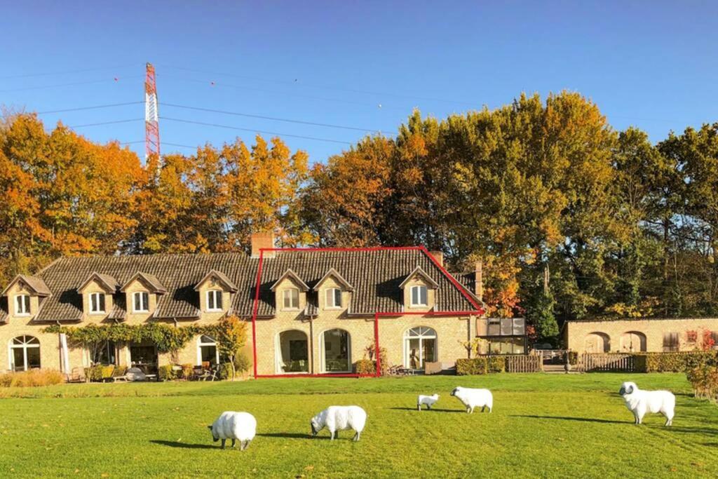 Gastenhuis Prachtige Historische Vierkant Hoeve Broechem المظهر الخارجي الصورة
